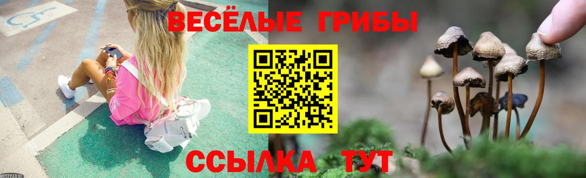 Вязьма  Псилоцибиновые грибы прущие грибы  Вход с VPN 